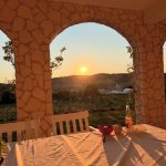 Adela Popescu și Radu Vâlcan