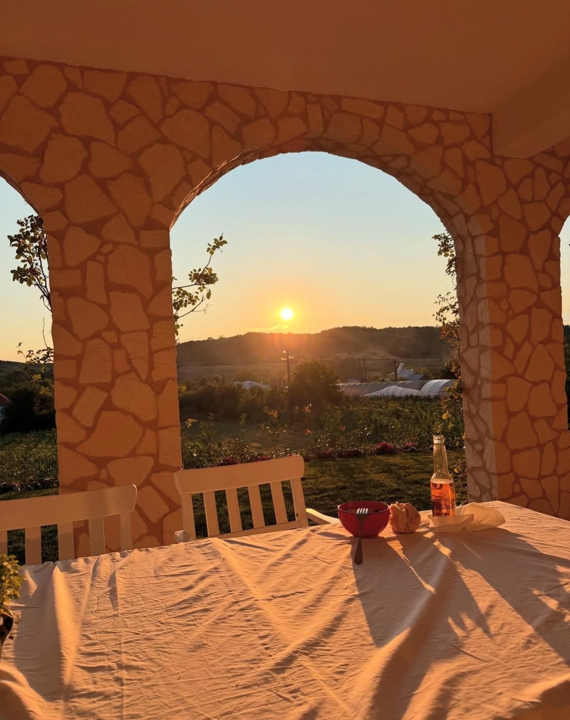 Adela Popescu și Radu Vâlcan