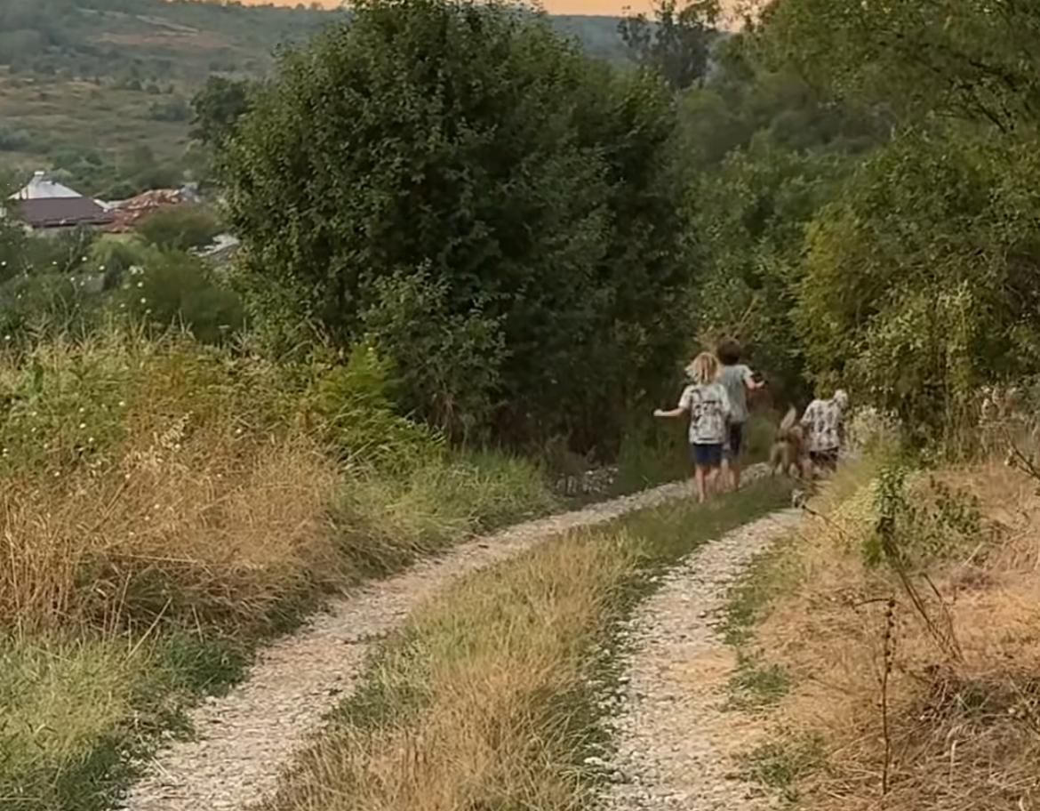 Adela Popescu și Radu Vâlcan