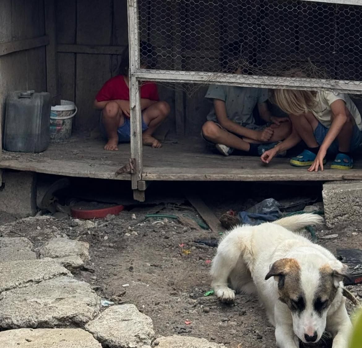 Adela Popescu și Radu Vâlcan