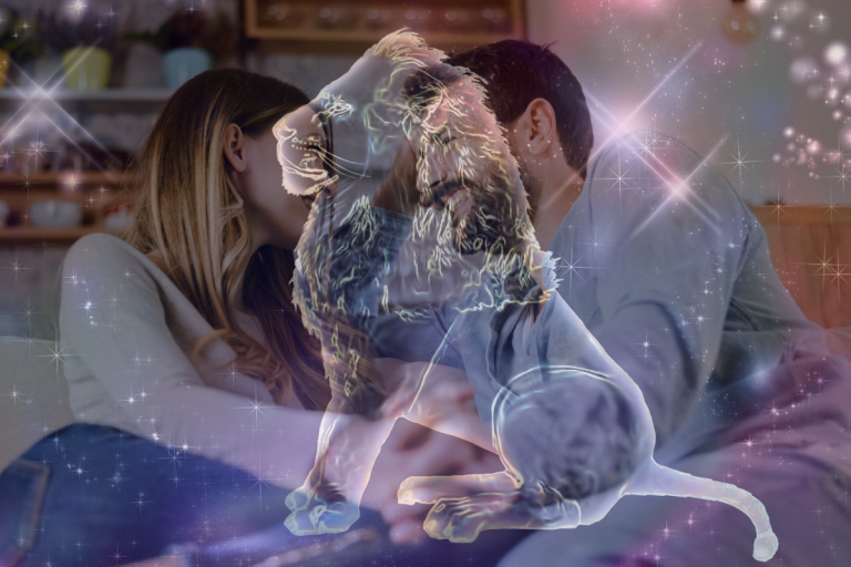 10 modalități prin care poți să cucerești un bărbat din zodia Leu